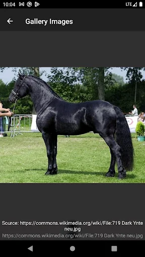 Horse Breeds – Photos ডাউনলোড করুন – ঘোড়ার জাতের বিস্তারিত তথ্য - Screenshot 5