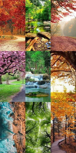 Nature Escape HD Wallpapers ডাউনলোড করুন – সেরা প্রাকৃতিক দৃশ্য - Screenshot 21