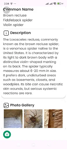 Spider Identifier ডাউনলোড করুন – মাকড়সার নাম শনাক্ত করুন - Screenshot 20