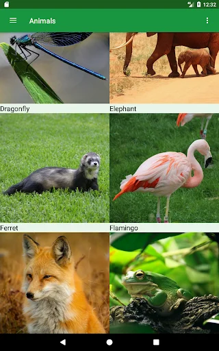 Wild Animals Puzzle ডাউনলোড করুন – বন্যপ্রাণীর মজার পাজল গেম - Screenshot 9