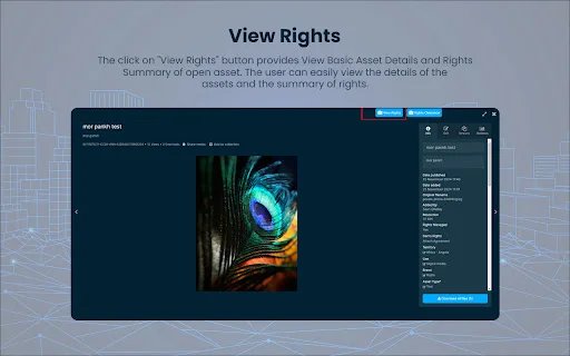 Bynder Connector for Brand Vision-Rights Cloud ডাউনলোড করুন - Screenshot 3