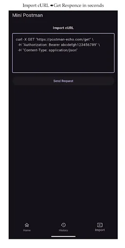 Postman Mini ডাউনলোড করুন – সেরা API টেস্টিং টুল ফ্রি ডাউনলোড - Screenshot 2