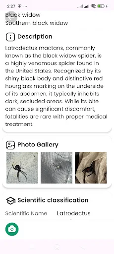 Spider Identifier ডাউনলোড করুন – মাকড়সার নাম শনাক্ত করুন - Screenshot 9