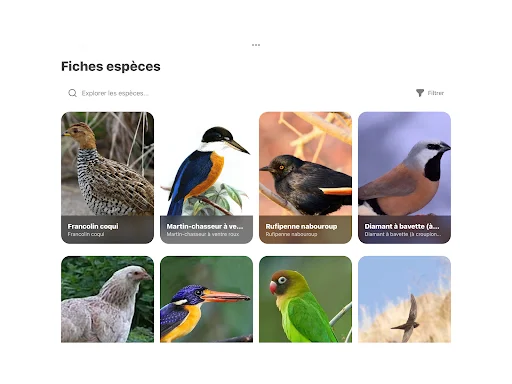 Oiseaux2France ডাউনলোড করুন – পাখি প্রেমীদের জন্য সেরা সামাজিক প্ল্যাটফর্ম - Screenshot 20