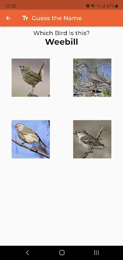 Australian Birds Sounds Pro ডাউনলোড করুন – পাখির ডাক ও গান - Screenshot 8