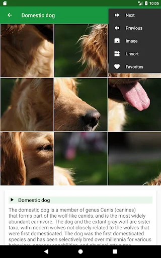 Dogs Puzzle ডাউনলোড করুন – সেরা ডগ পাজল গেম ফ্রি ডাউনলোড - Screenshot 12