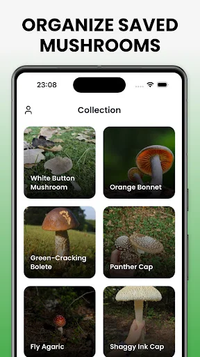 Mushroom Identifier – Mushby ডাউনলোড করুন – সেরা মাশরুম শনাক্তকারী - Screenshot 7