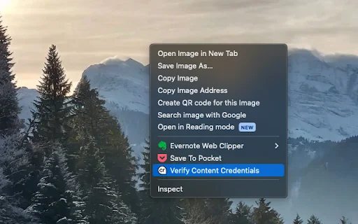 C2PA Content Credentials ডাউনলোড করুন – ইমেজ ও ভিডিও যাচাই করুন - Screenshot 1