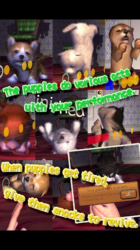 Animal Dance puppies ডাউনলোড করুন – মিউজিক ও ভার্চুয়াল পেট গেম - Screenshot 11