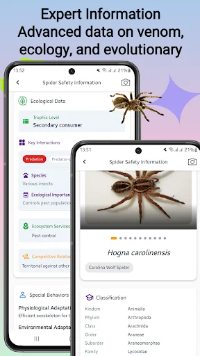 Spider Identifier ডাউনলোড করুন – মাকড়সার নাম শনাক্ত করুন - Screenshot 5