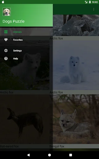 Dogs Puzzle ডাউনলোড করুন – সেরা ডগ পাজল গেম ফ্রি ডাউনলোড - Screenshot 13