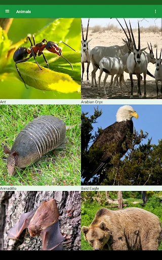 Wild Animals Puzzle ডাউনলোড করুন – বন্যপ্রাণীর মজার পাজল গেম - Screenshot 15