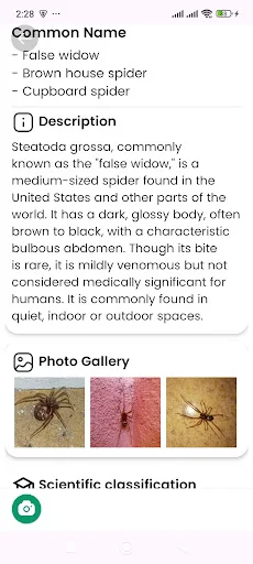 Spider Identifier ডাউনলোড করুন – মাকড়সার নাম শনাক্ত করুন - Screenshot 10