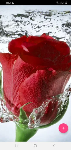 50000 Wallpapers 4K, HD, 3D ডাউনলোড করুন – সেরা ব্যাকগ্রাউন্ড - Screenshot 6