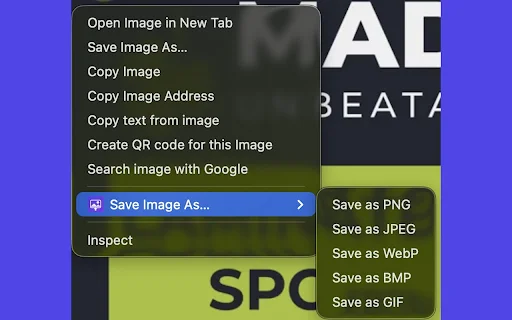 Save As Image Type ডাউনলোড করুন – ইমেজ ফরম্যাট কনভার্টার - Screenshot 1