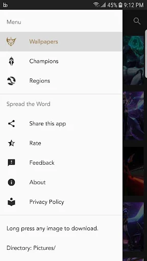 HD Wallpapers for LoL ডাউনলোড করুন – League of Legends ওয়ালপেপার - Screenshot 2