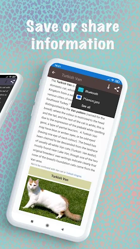 Cat breeds – Smart Identifier ডাউনলোড করুন – সেরা বিড়াল শনাক্তকারী অ্যাপ - Screenshot 6