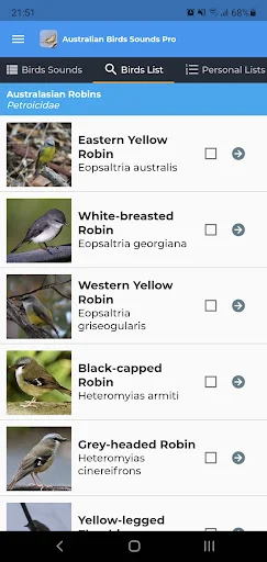 Australian Birds Sounds Pro ডাউনলোড করুন – পাখির ডাক ও গান - Screenshot 3