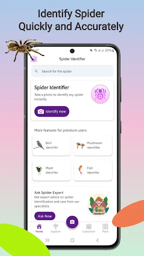 Spider Identifier ডাউনলোড করুন – মাকড়সার নাম শনাক্ত করুন - Screenshot 1