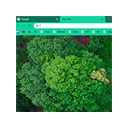 Green Peaceful Ambience Theme ডাউনলোড করুন – চোখের জন্য আরামদায়ক