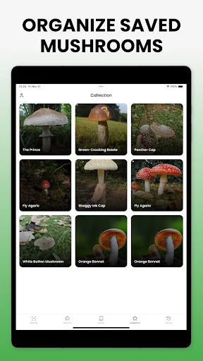 Mushroom Identifier – Mushby ডাউনলোড করুন – সেরা মাশরুম শনাক্তকারী - Screenshot 19