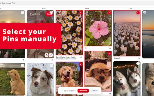 PinBoardSaver ডাউনলোড করুন – Pinterest বোর্ড ডাউনলোড করুন সহজে - Screenshot 4